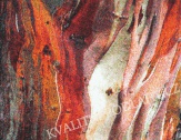 Kusový koberec RUST 120 x 170 cm červený